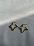 Star Earrings