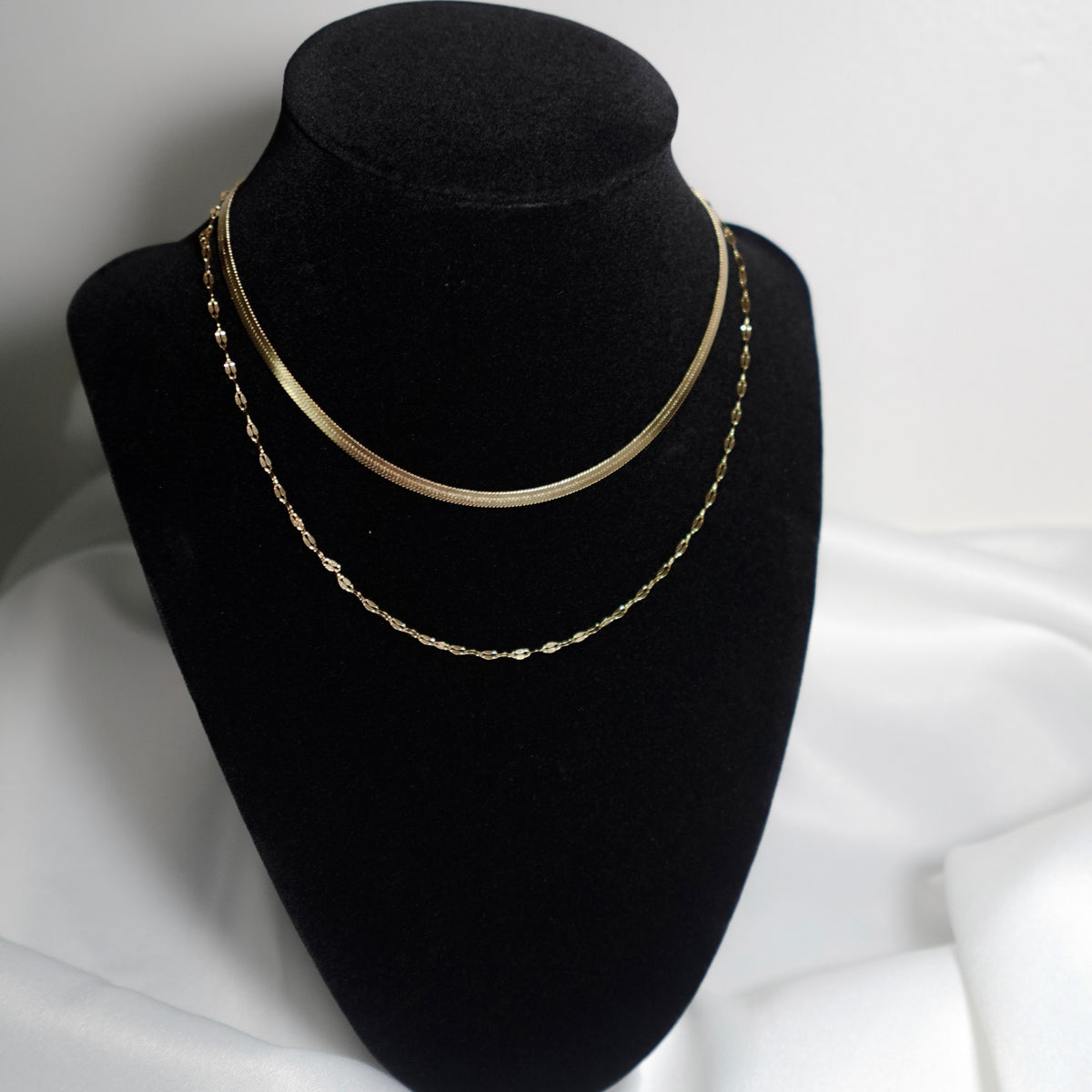 Collar Nova