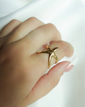 Anillo de mar